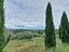 Immagine 18
