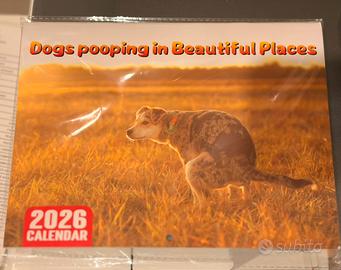 Calendario Dogs pooping in Beautiful Places 2026