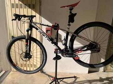 MTB Focus Raven 29er