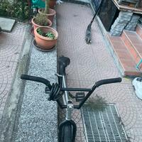 Bmx freestyle