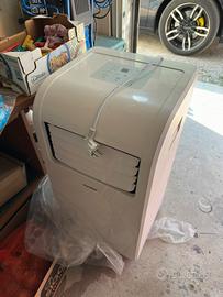 Pinguino Condizionatore aria condizionata