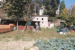 Terreno agricolo con annessi