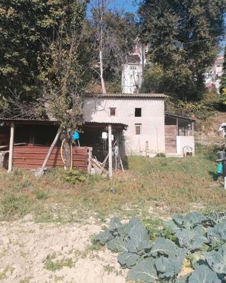 Terreno agricolo con annessi