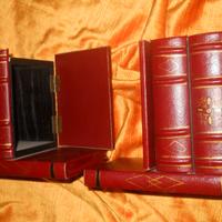 Coppia fermalibri in pelle