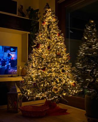 Albero di Natale