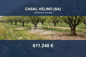Immobile in asta di 9733 m² a Casal Velino