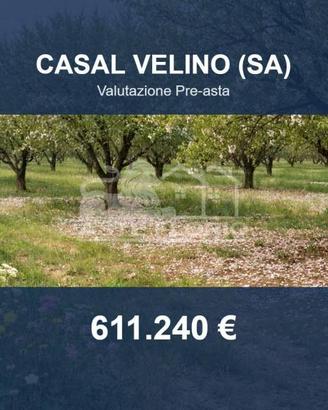 Immobile in asta di 9733 m² a Casal Velino