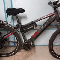 e-bike olympia master 29"