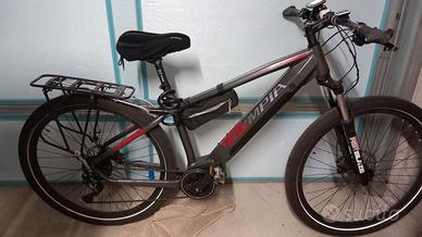 e-bike olympia master 29"