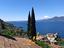 Immagine 8