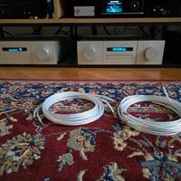 Coppia cavi di Potenza QED XT25