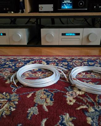 Coppia cavi di Potenza QED XT25