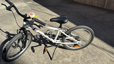 Bicicletta 20 pollici