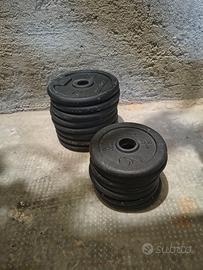 Pesi da 1 kg e 2 kg