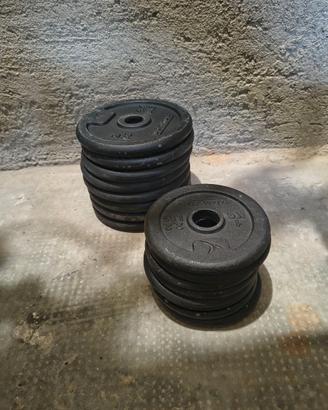 Pesi da 1 kg e 2 kg