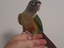 Immagine 2