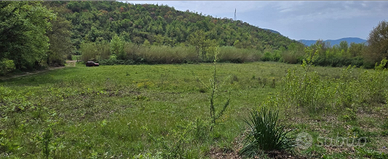 Terreno agric. irriguo 1 ettaro - utile x fotovolt