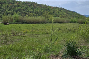 Terreno agric. irriguo 1 ettaro - utile x fotovolt