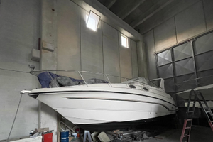 Chaparral Signature 300