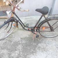 bici per collezionisti