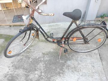 bici per collezionisti