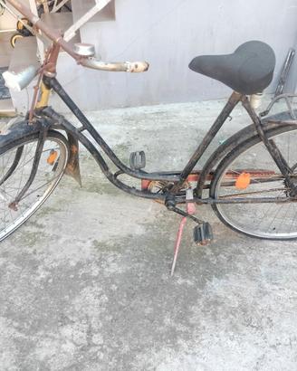 bici per collezionisti 