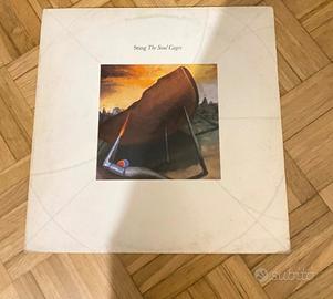 Disco vinile 