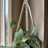 Portavaso appeso con ciondolo in macramè