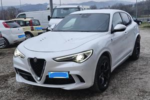 STELVIO QUADRIFOGLIO