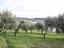Immagine 13