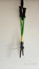 Bastoncini da trekking