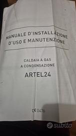 caldaia a gas 