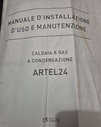 caldaia a gas 