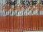Immagine 3