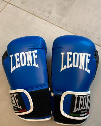 Guantoni Leone Flash 6 Oz