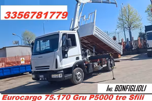 Camion con Gru e Ribaltabile 75