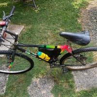 Mountain bike uomo