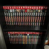 BERSERK Collection Completa 1-42