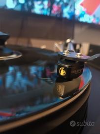 Testina MC Gold Note Machiavelli Gold 