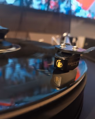 Testina MC Gold Note Machiavelli Gold 