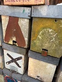 Porta sciami nuclei d api