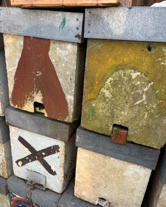 Porta sciami nuclei d api