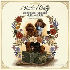 Barboncino Toy: particolor, Phantom e Red