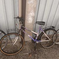 2 Biciclette (Bitwin e Raider)