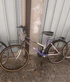 2 Biciclette (Bitwin e Raider)