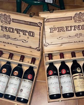 Vini pregiati piemontesi cantina "Prunotto"