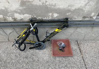 bici Olimpia