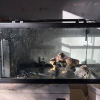 Acquario / Terrario 120L