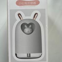 Piccolo umidificatore portatile, USB