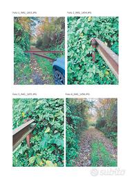TNN 268/2024 TERRENO